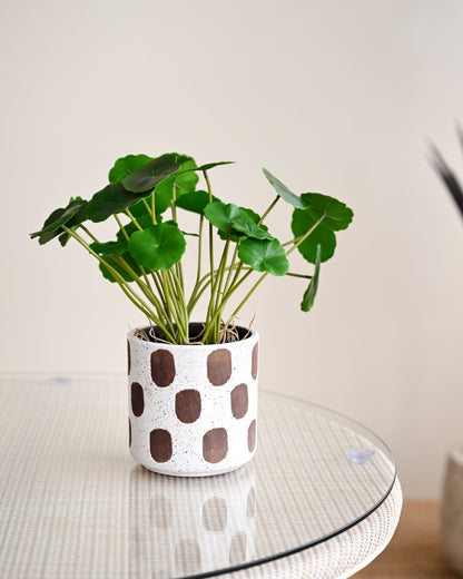 Avo Deco Flowerpot