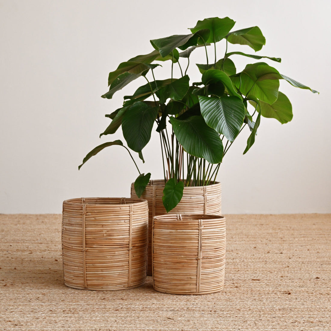 Bengal Rattan Cylinder Basket