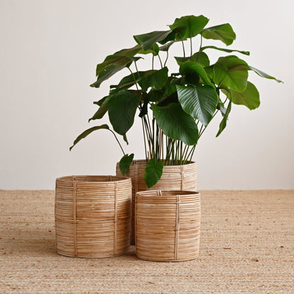 Bengal Rattan Cylinder Basket
