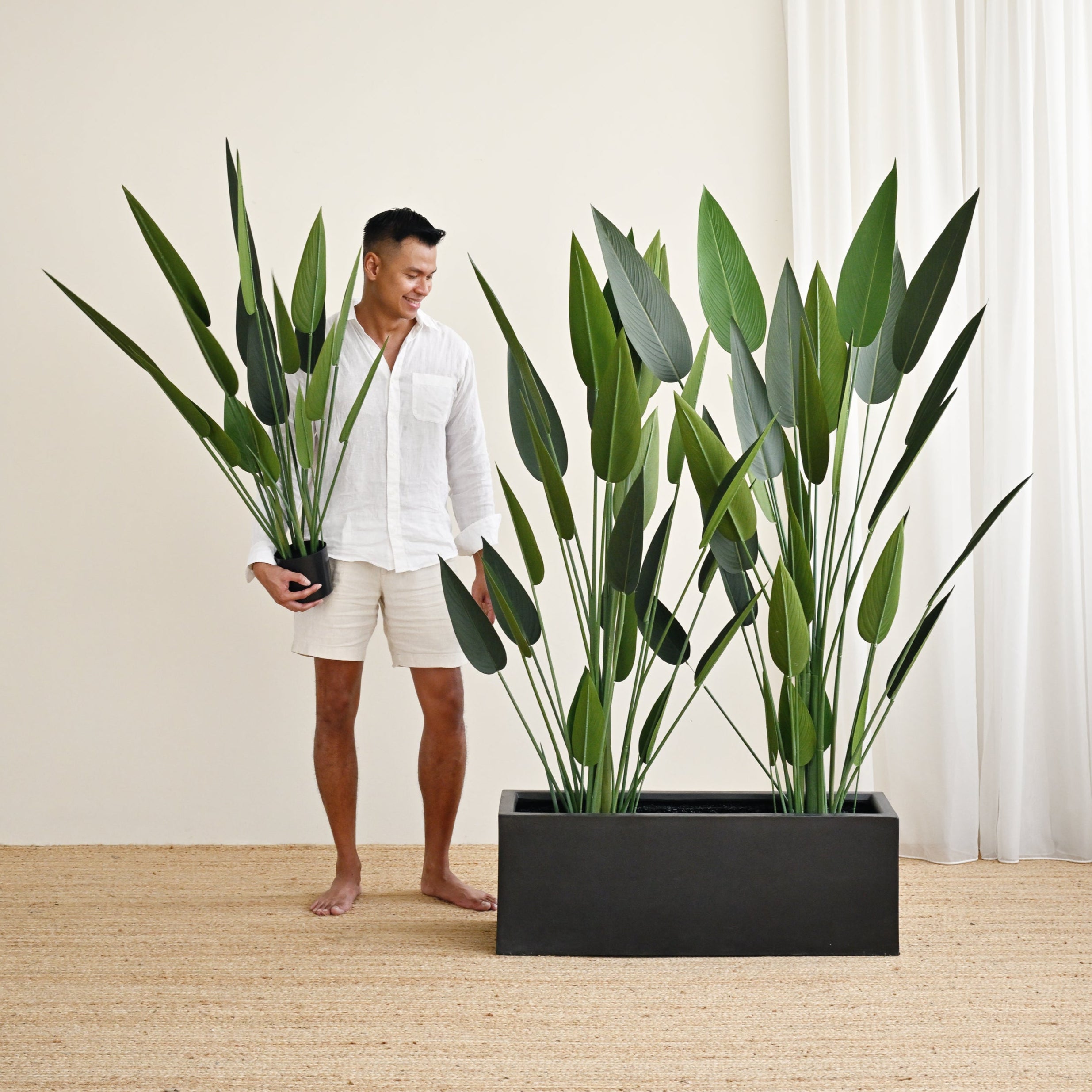 Black Rectangle Planter Box Plants 
