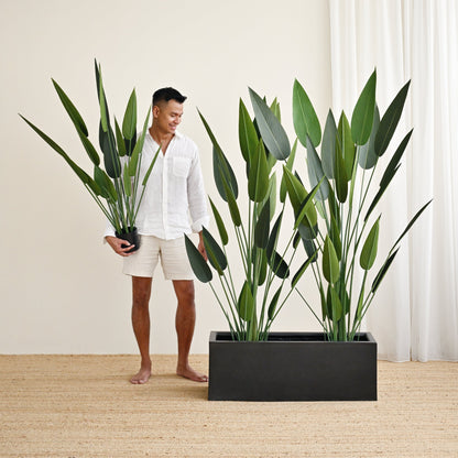 Black Rectangle Planter Box Plants 