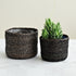 Bogura Planters - Set of 2 
