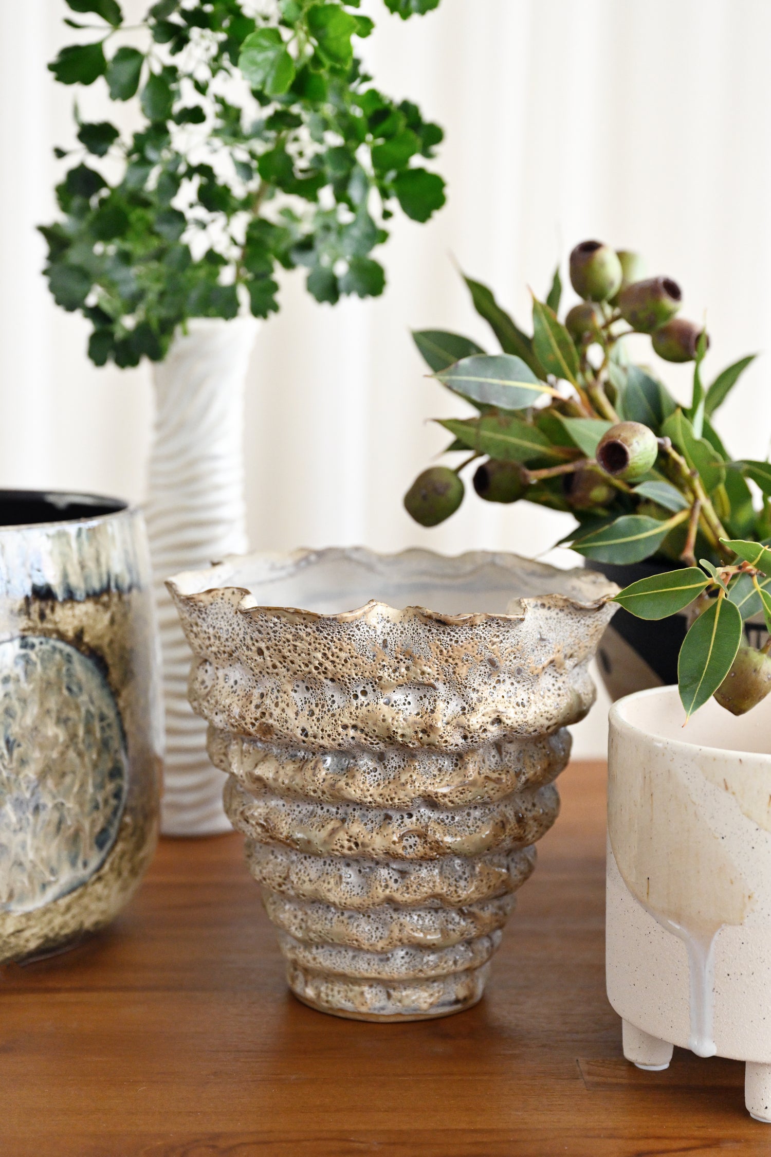 Decorative ceramic pot on a wooden surface with other plants in the background