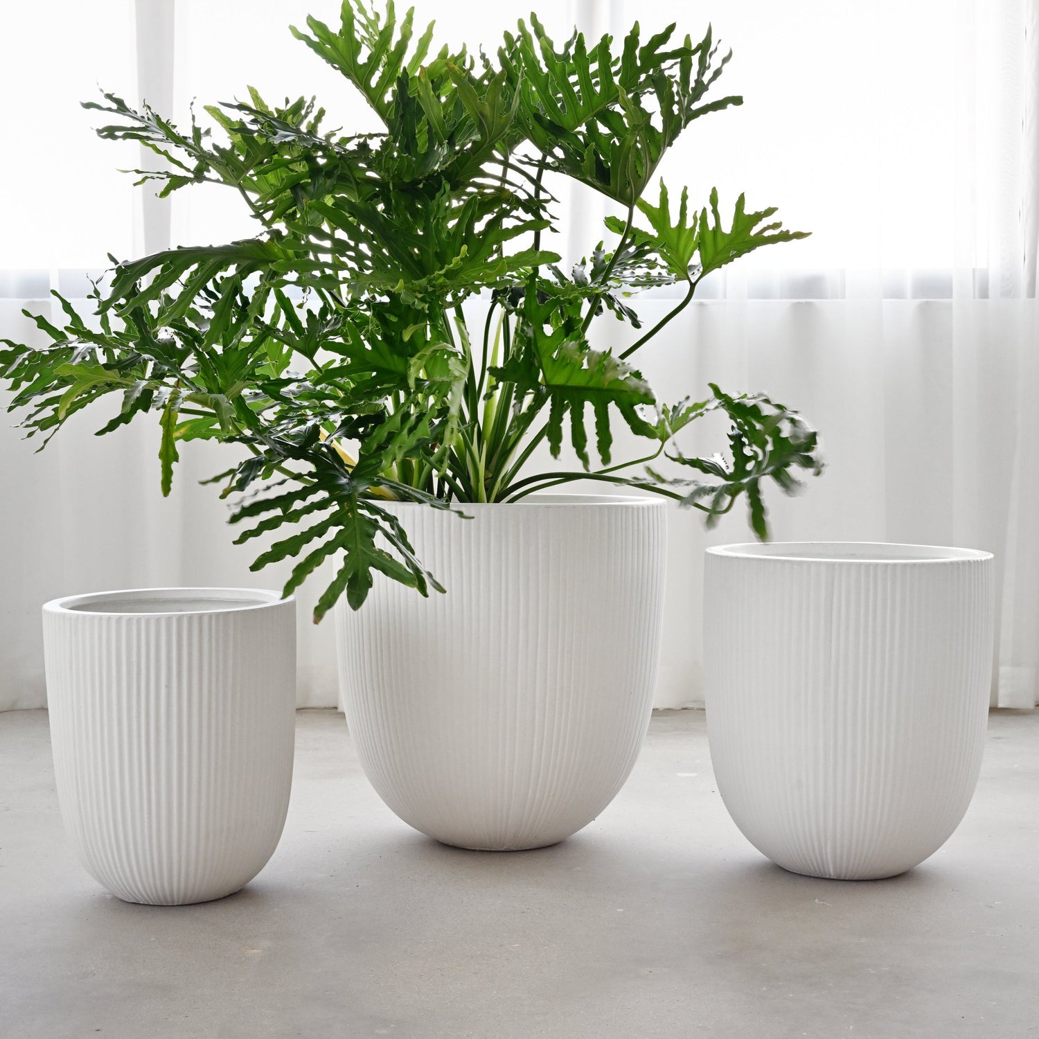 Vinh Concrete Pot - White