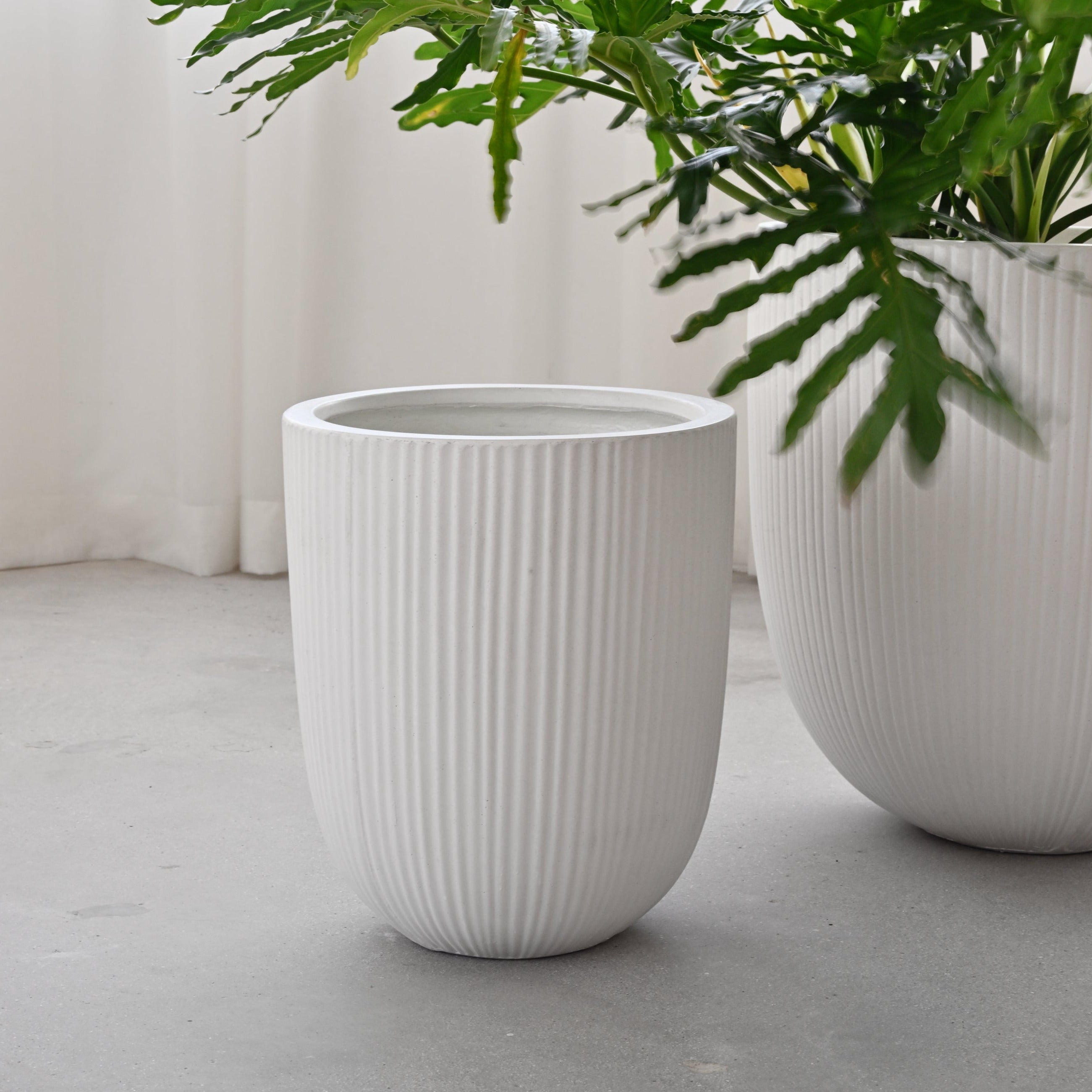 Vinh Concrete Pot - White