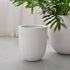 Vinh Concrete Pot - White