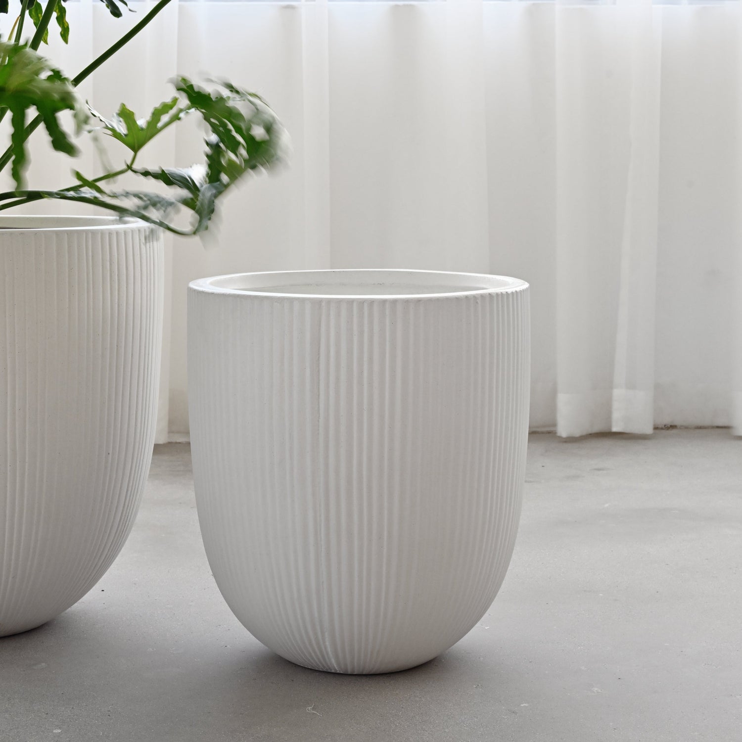 Vinh Concrete Pot - White