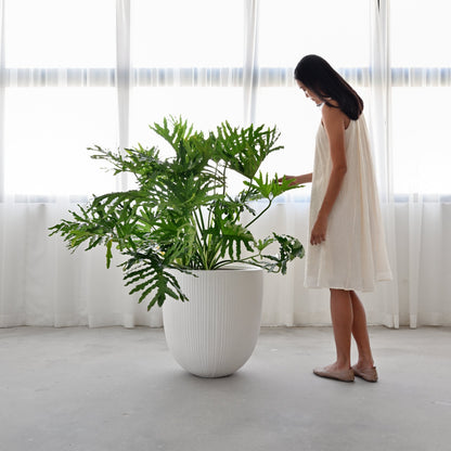 Vinh Concrete Pot - White