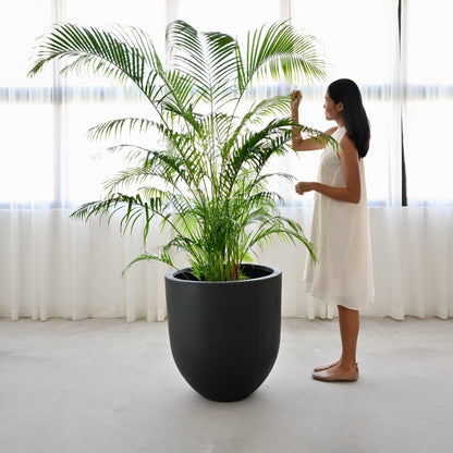 Bullet Concrete Pot - Black