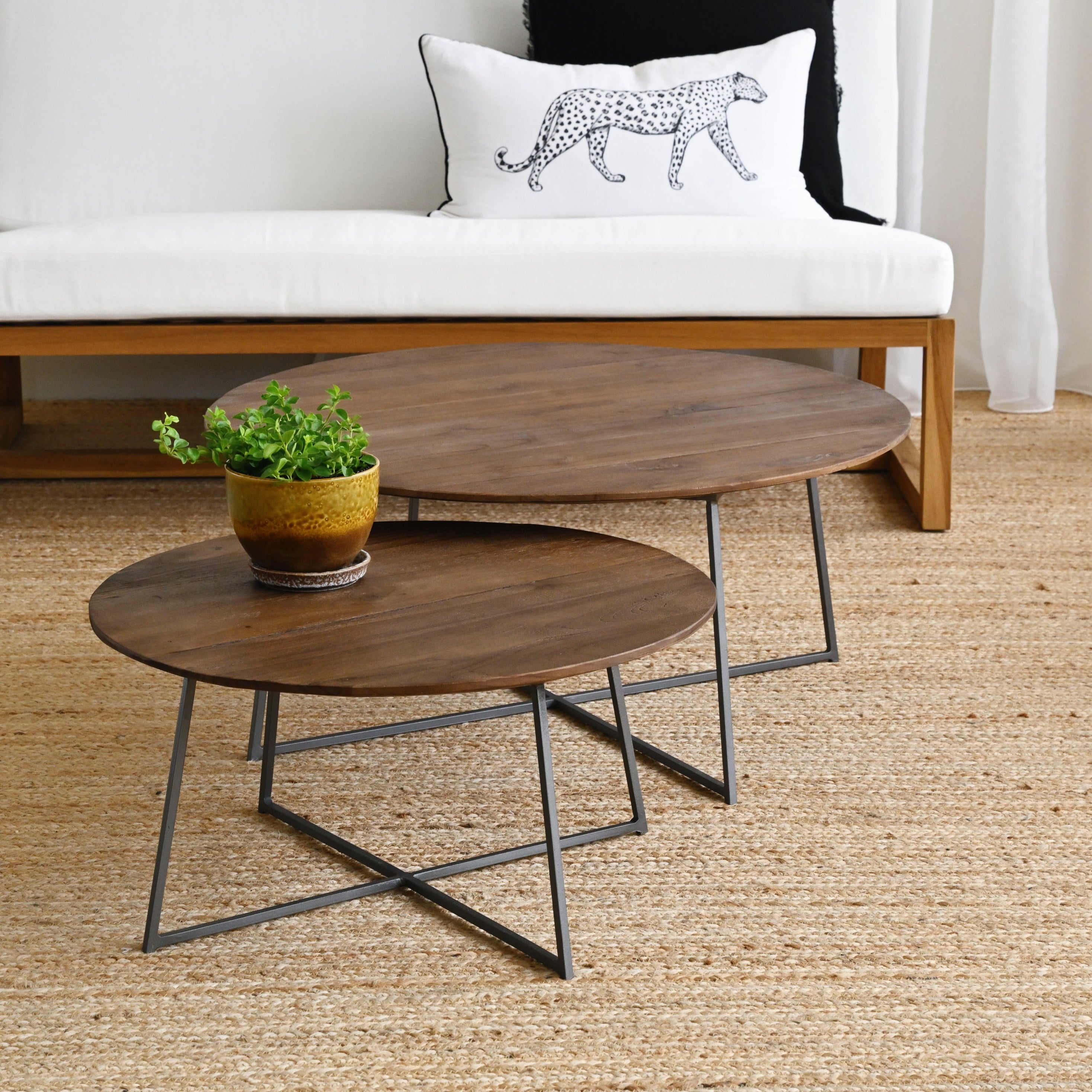 Lola Teak Coffee Table