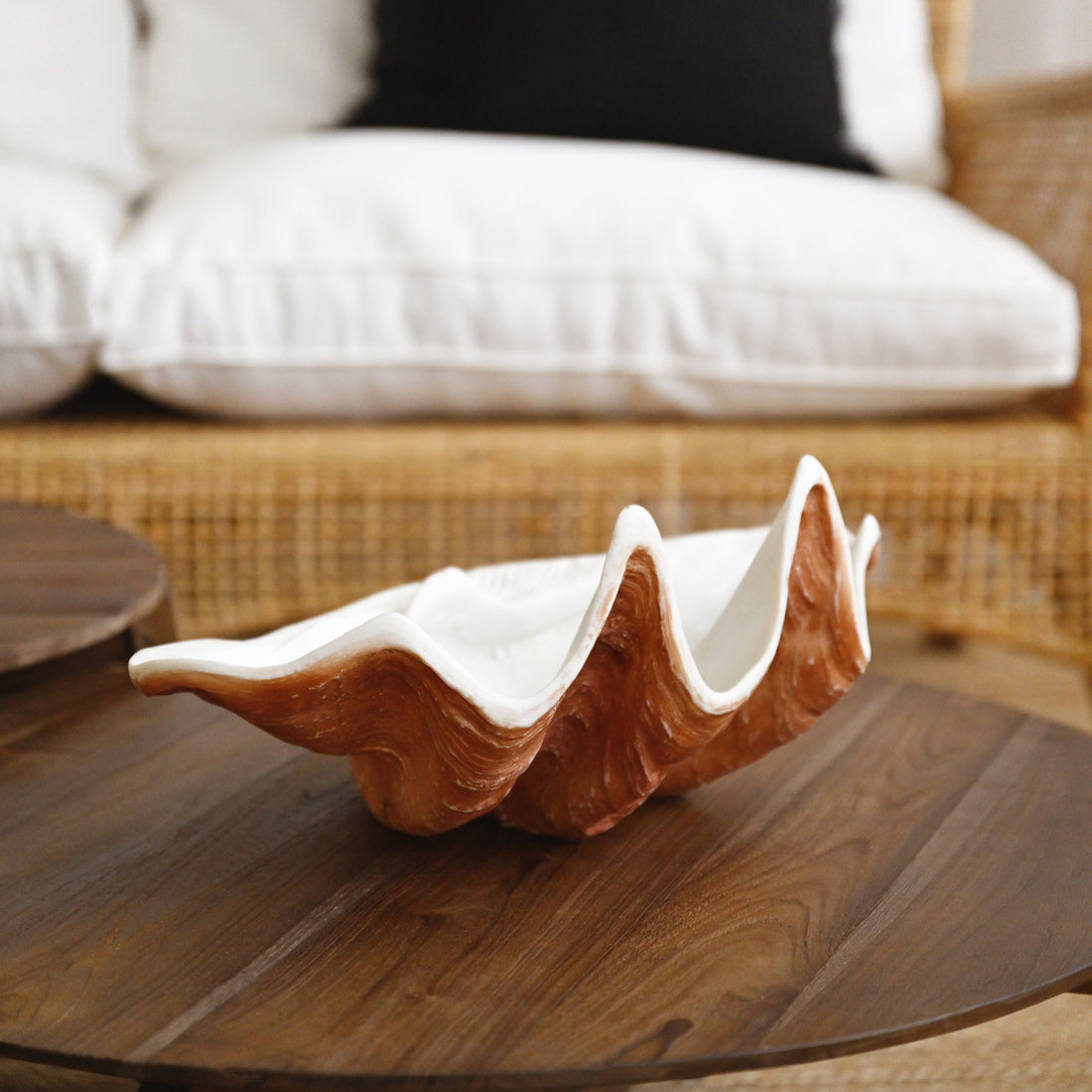 Decorative Clam Shell