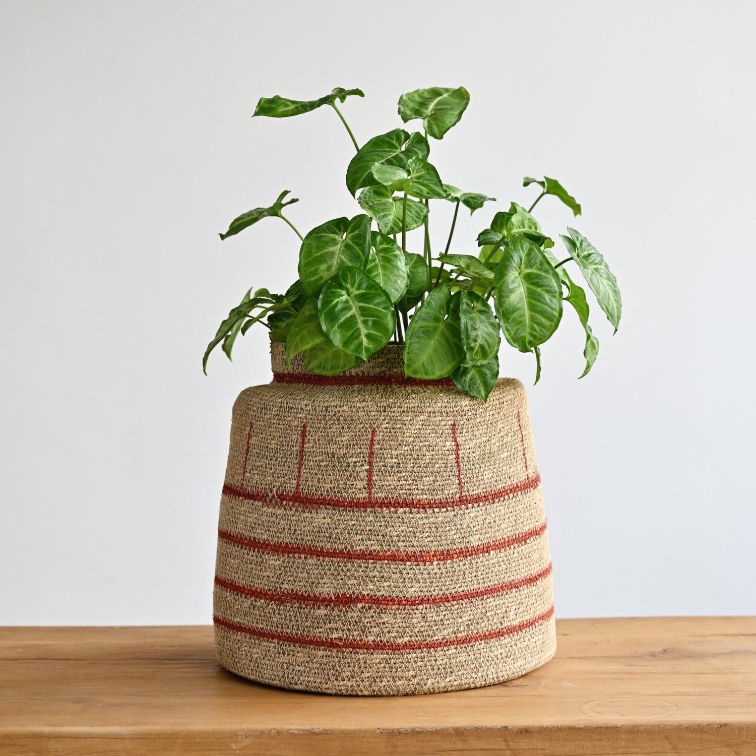 Zouk Woven Basket with Thin Stripes