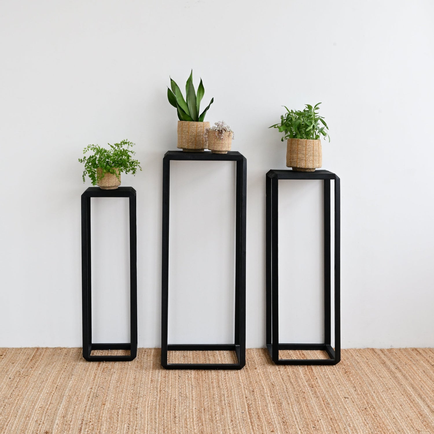 Milou Plant Stand - Black