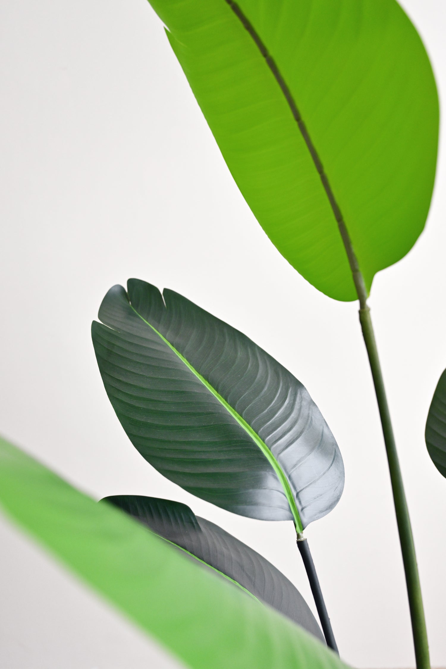 Travellers Palm Tree - Faux
