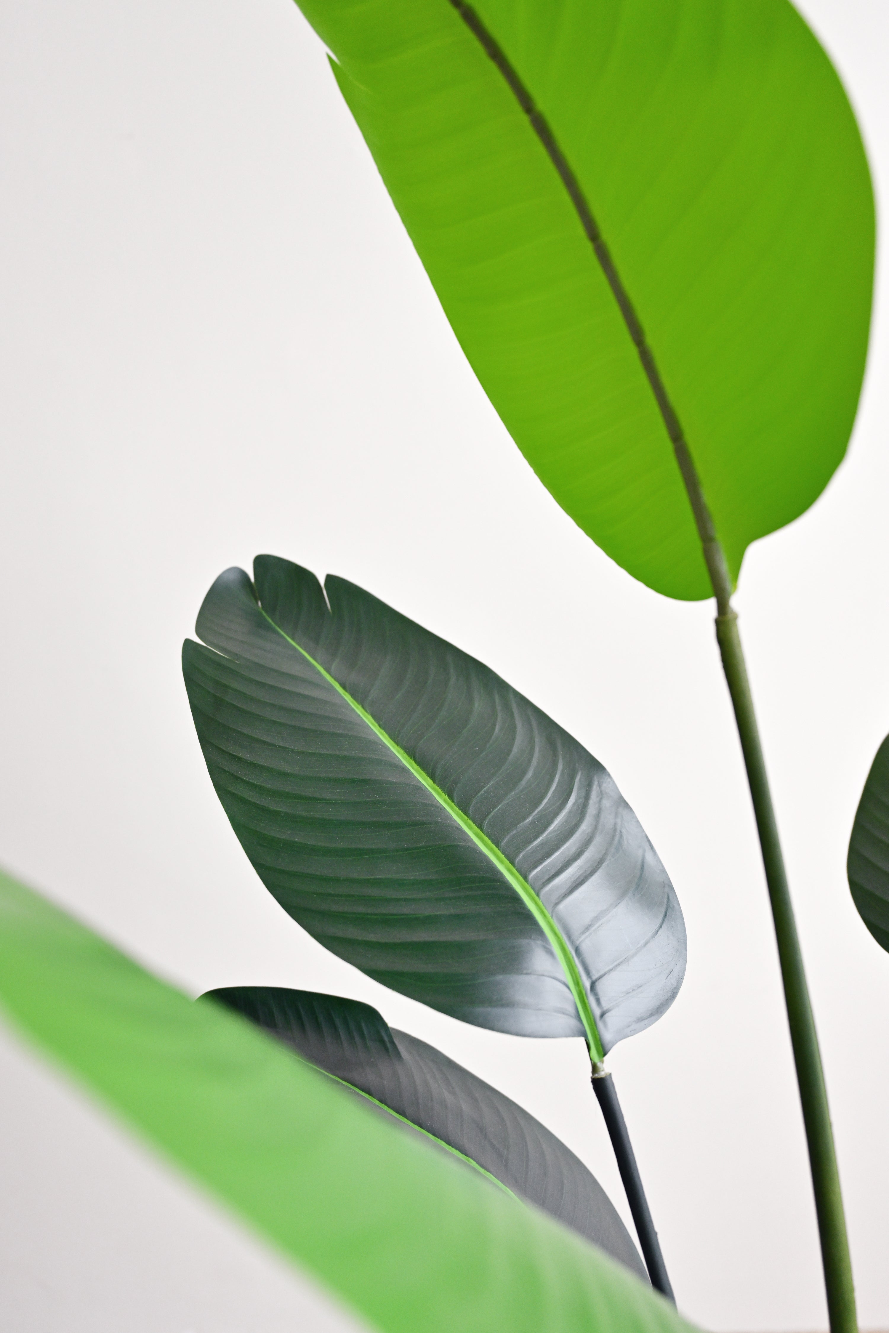 Travellers Palm Tree - Faux