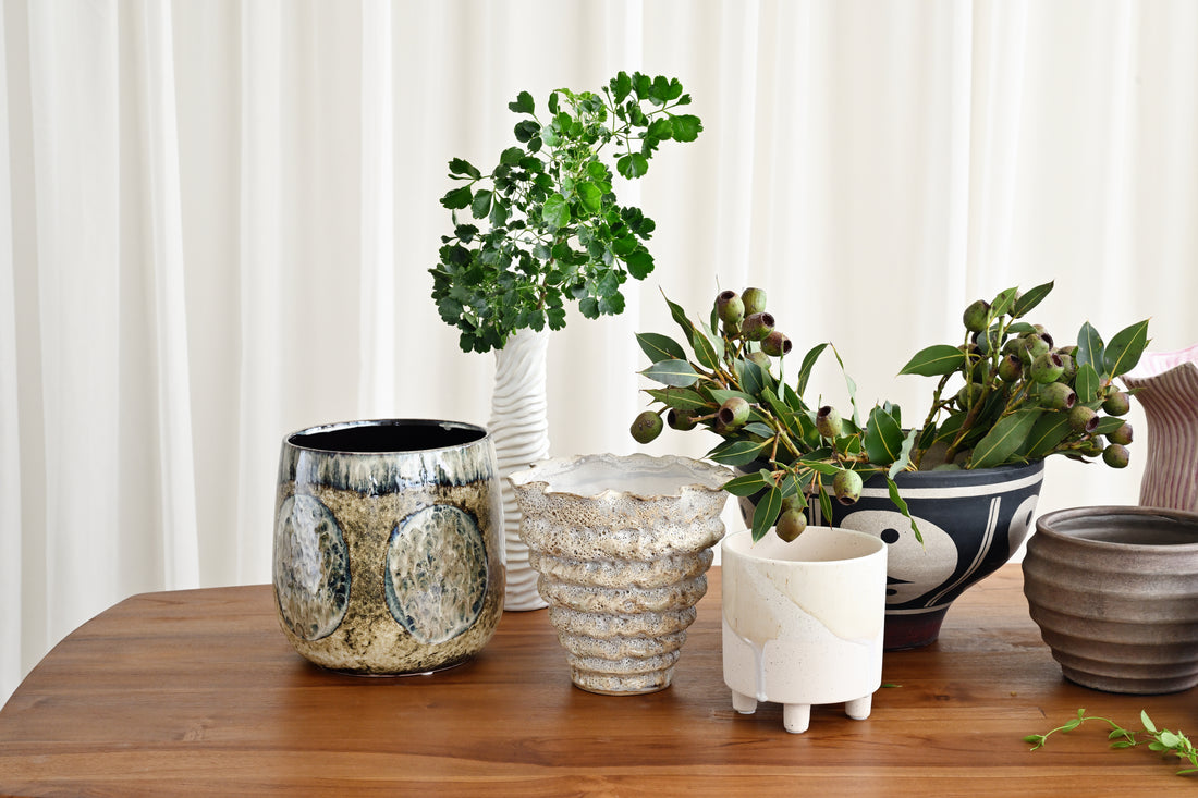 Collection of ceramic planters with plants on a wooden surface against a white curtain background