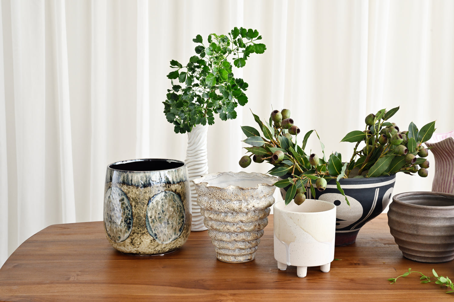 Collection of ceramic planters with plants on a wooden surface against a white curtain background