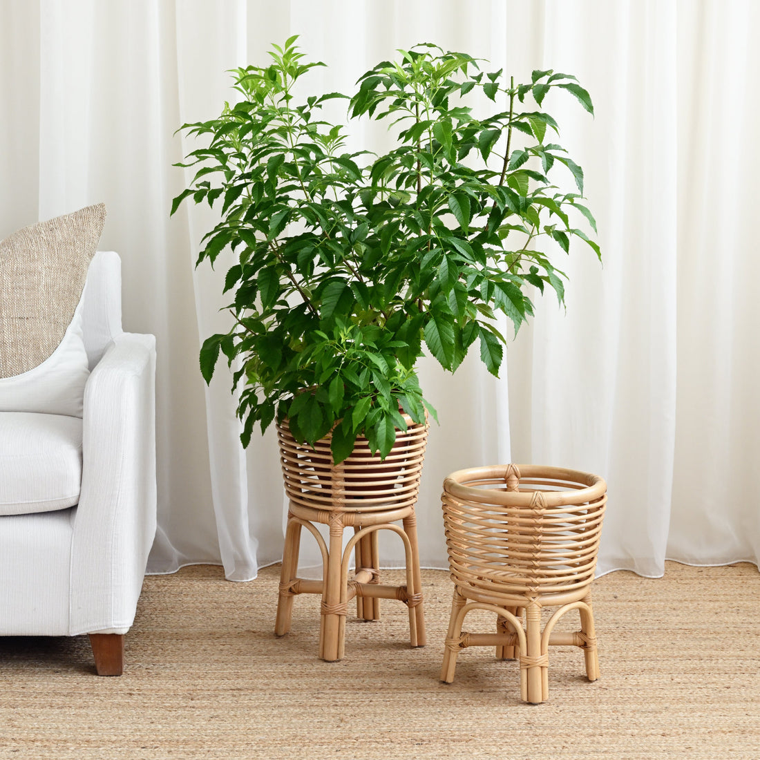 Dong Rattan Planter - Natural 2