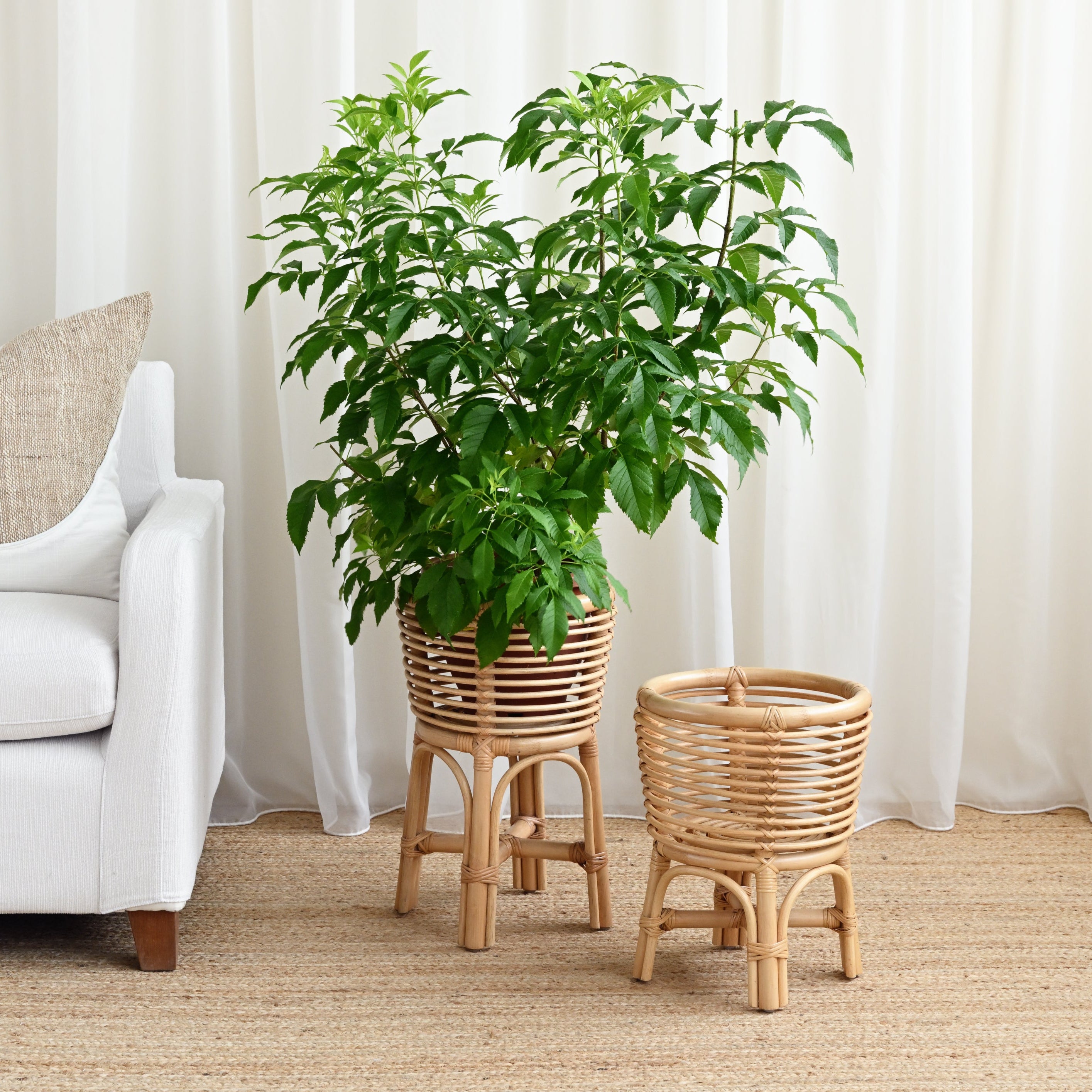 Dong Rattan Planter - Natural 2