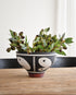 Decorative bowl with plants on a wooden table