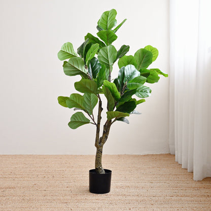 Ficus Plant Tree - Faux 1