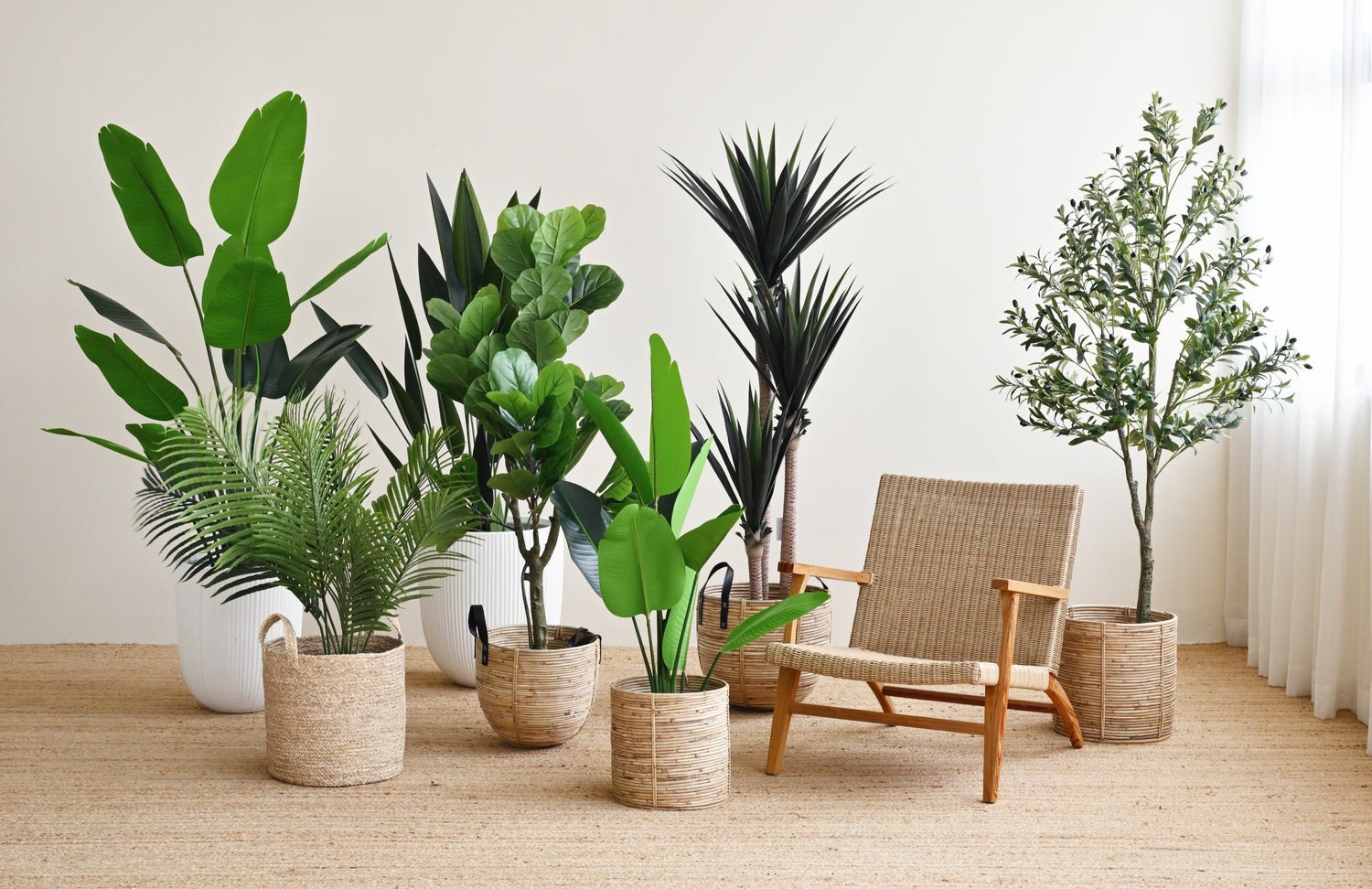 Ficus Plant Tree - Faux 7