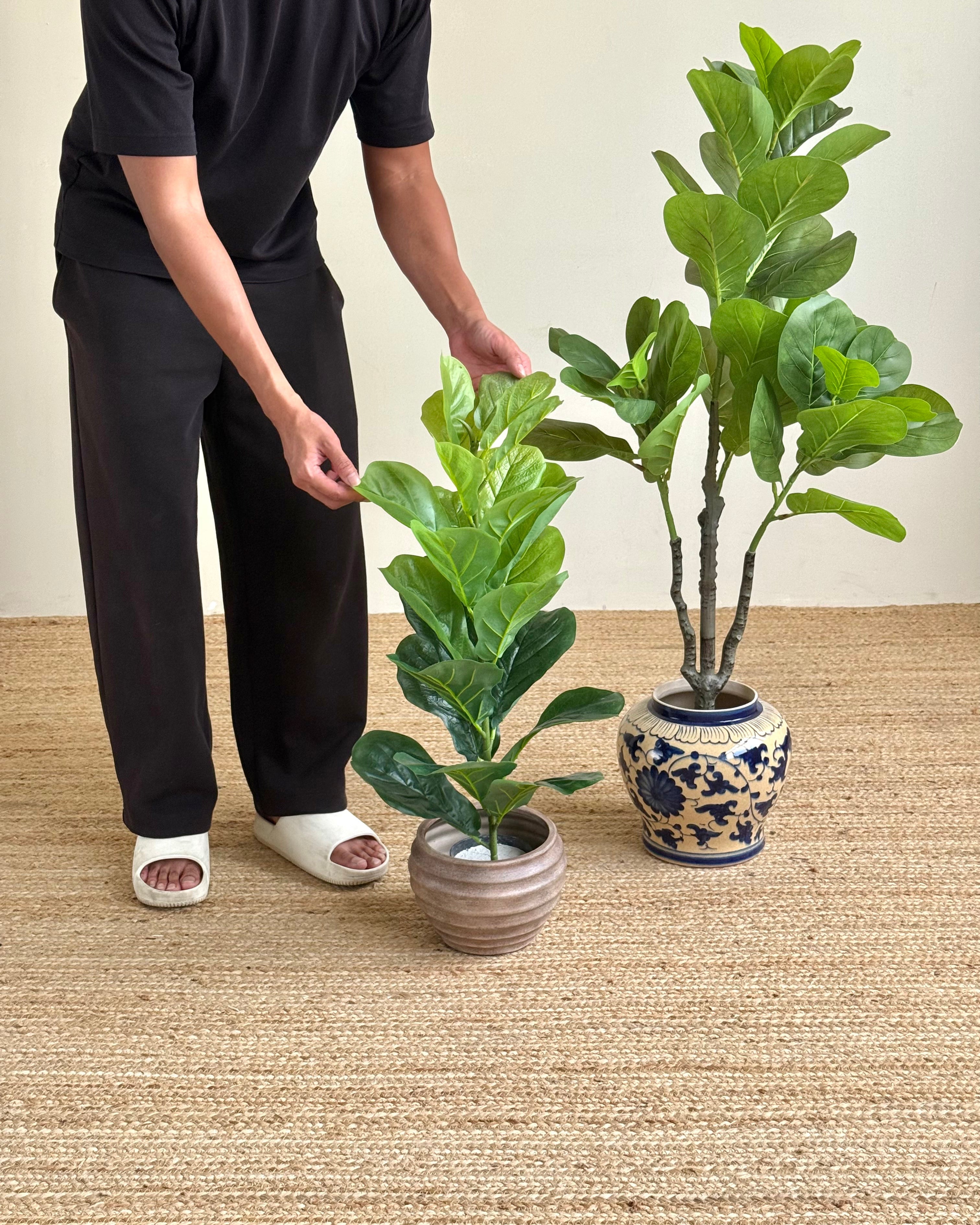 A person in a black outfit and white slide sandals stands beside two potted fiddle-leaf fig plants on a woven jute rug against a plain beige wall. One plant is in a small ribbed brown pot, and the other is in a blue-and-white patterned ceramic pot.