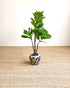 An artificial fiddle-leaf fig plant with green leaves and brown stems, potted in a blue and white ceramic jar, set on a beige woven rug against a plain white wall.