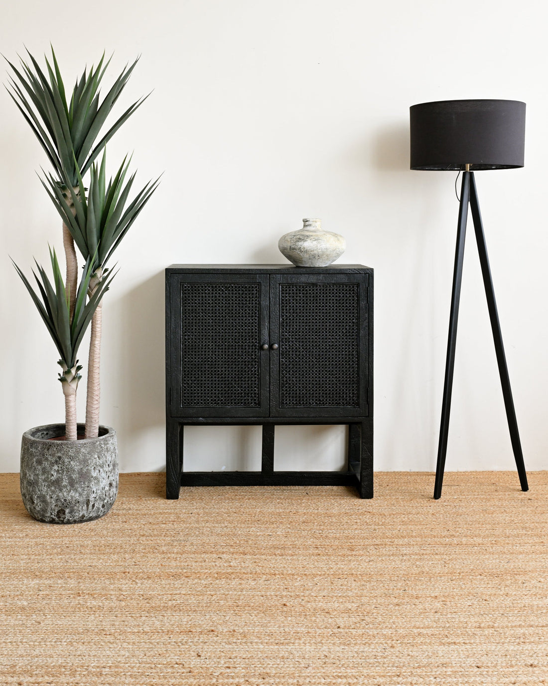 Black cabinet with a plant and lamp on a beige carpet