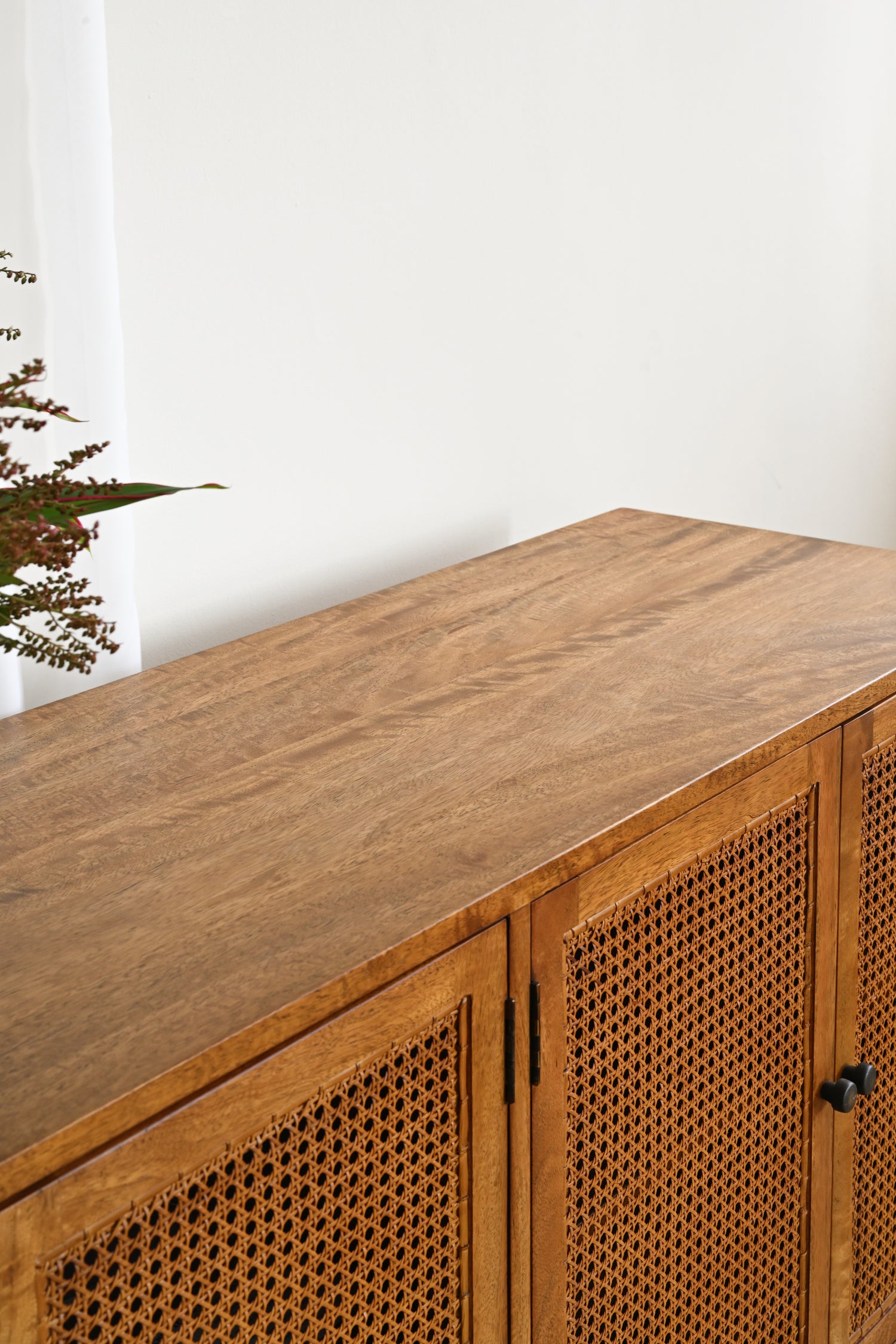 Wooden sideboard with rattan doors in a minimalistic room.