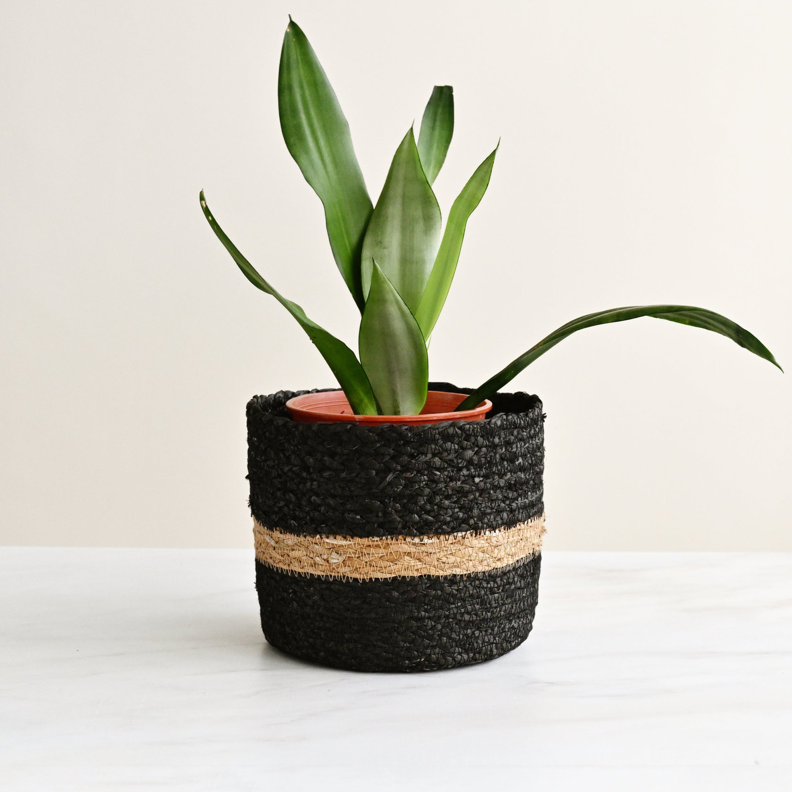 Harvest Cylinder Basket - Black 3