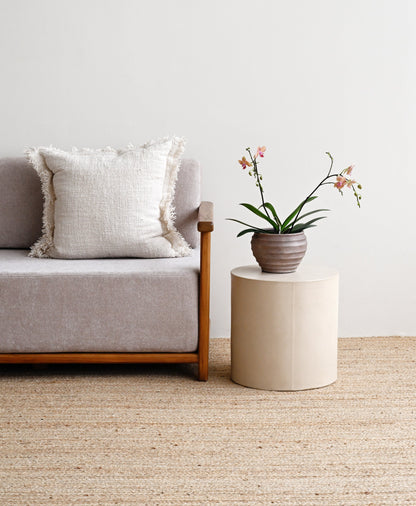 Beige carpet in a room with a sofa and a small table with a plant.