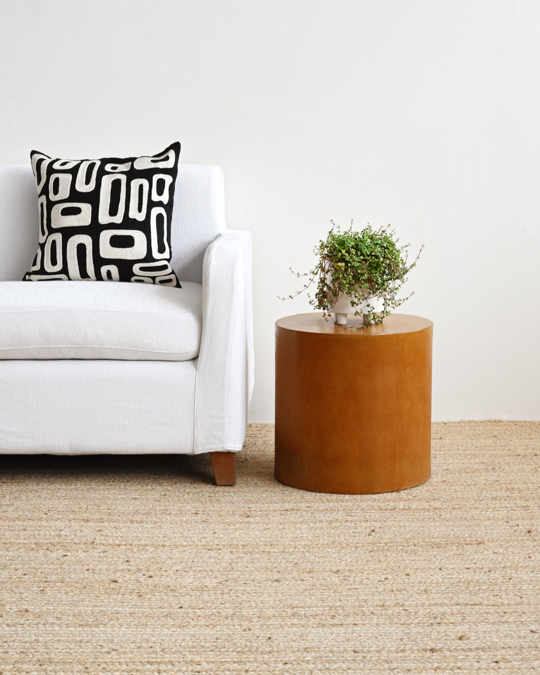 Modern living room with a white sofa, patterned pillow, and wooden side table.