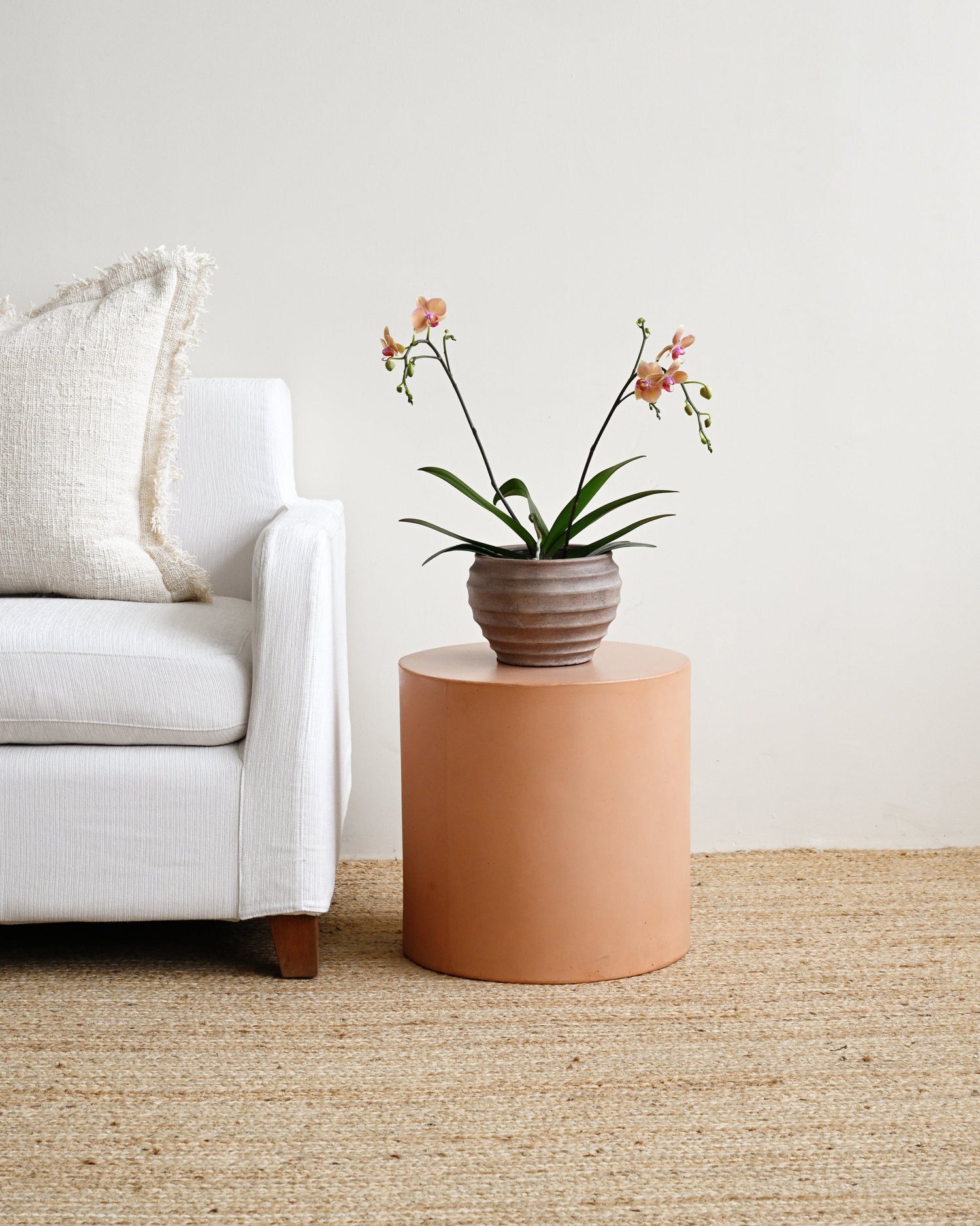 Terracotta side table with a potted plant next to a white sofa on a beige carpet.