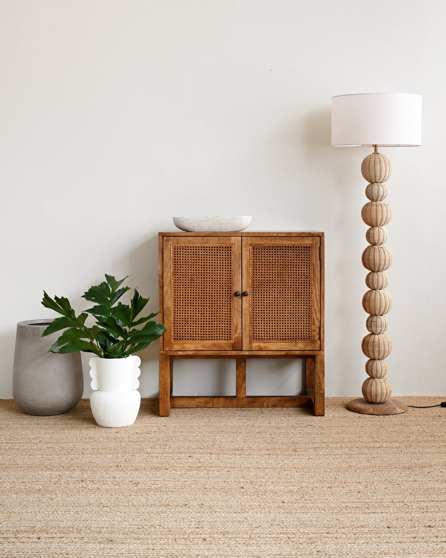 Wooden cabinet with a plant and lamp on a beige carpet