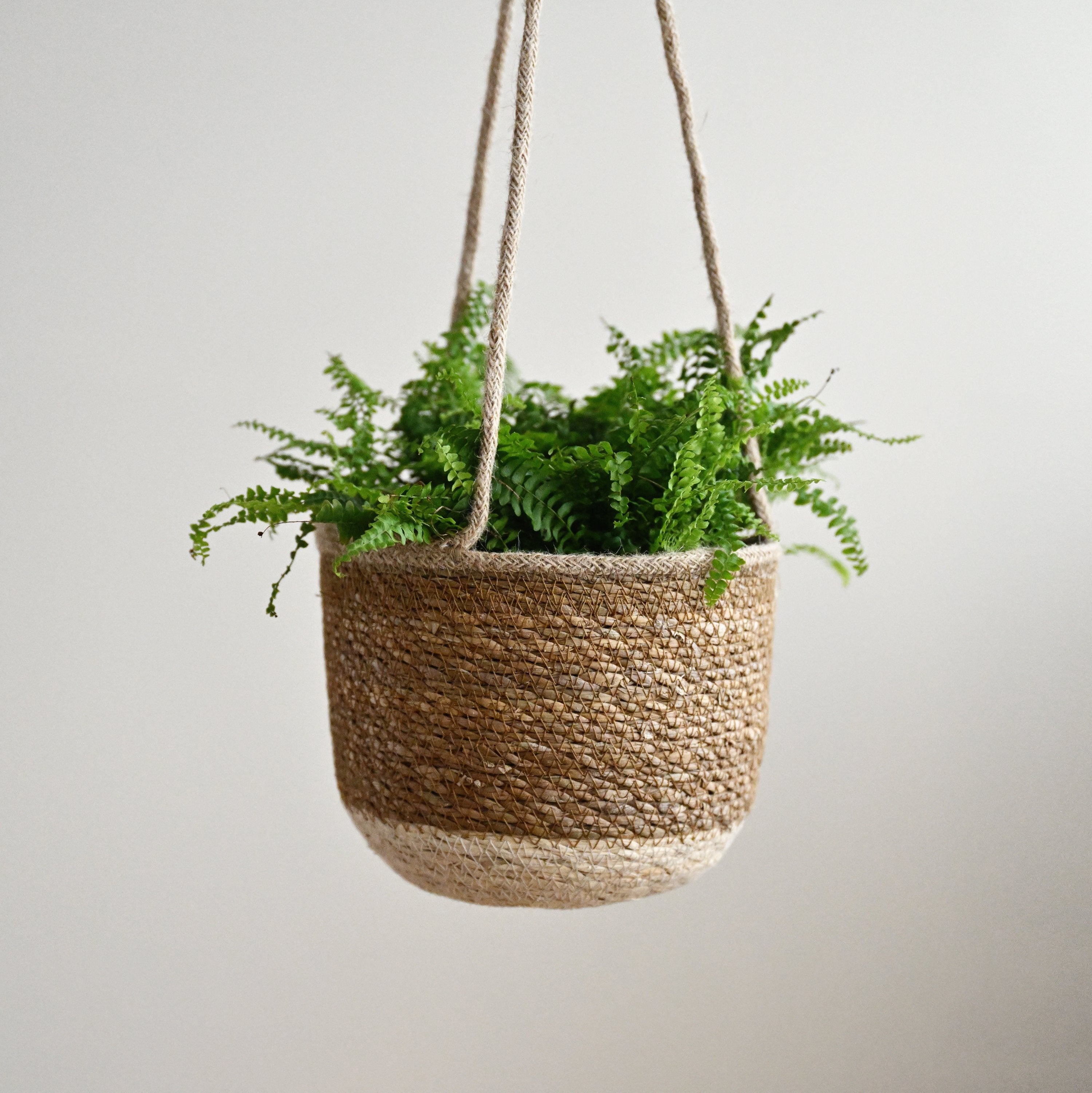 Khulna Hanging Planters - Set of 3 WarehouseSale2024_9