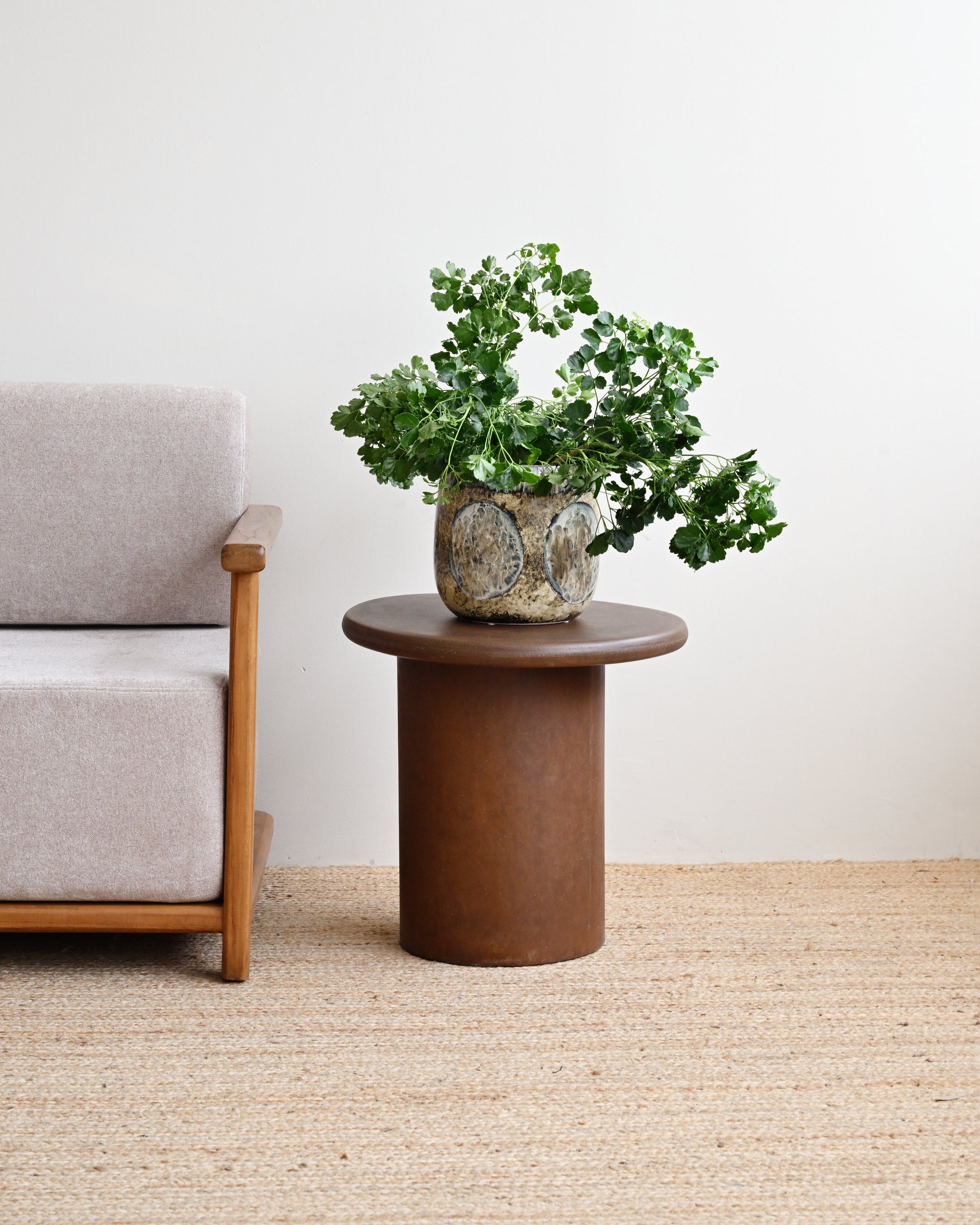 Potted plant on a wooden side table next to a gray sofa in a minimalistic room.