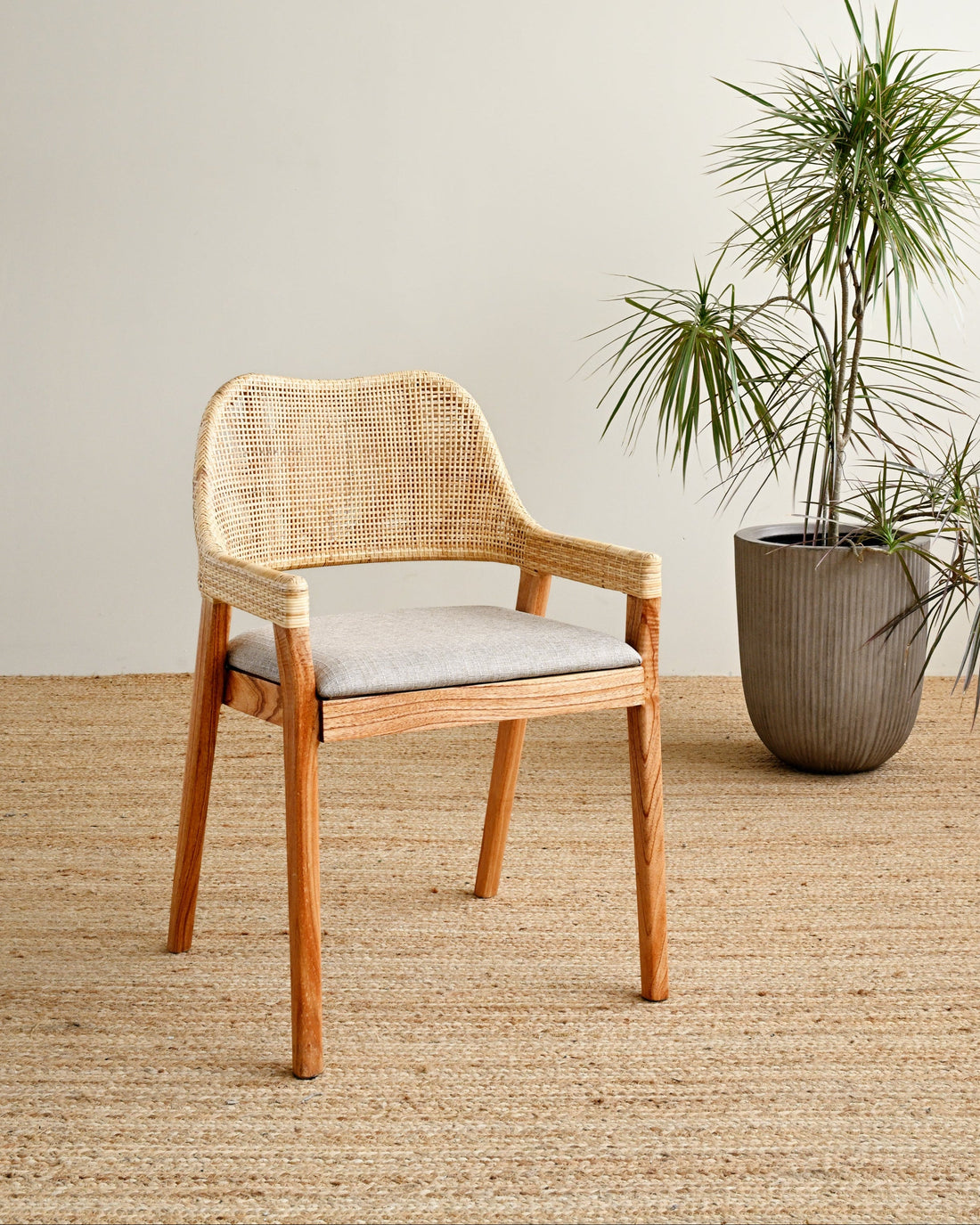 Wicker chair with a cushion next to a potted plant on a beige carpet.