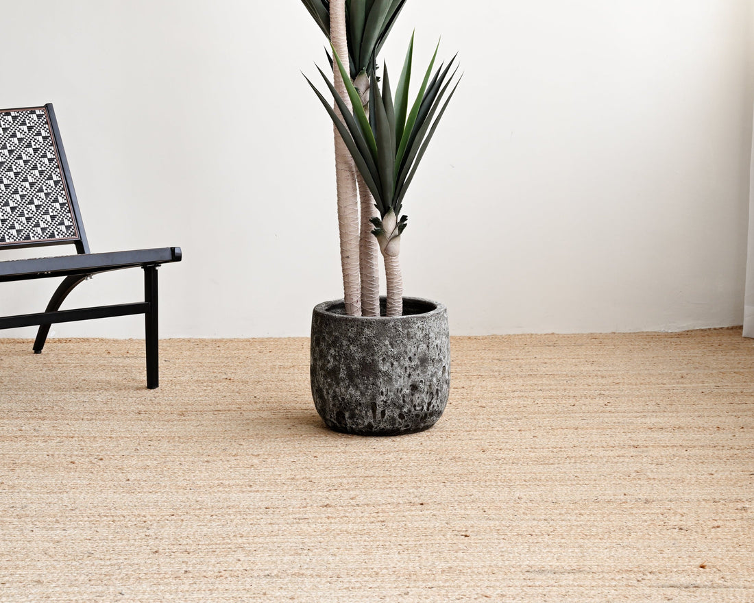Potted plant on a jute rug with a chair in the background