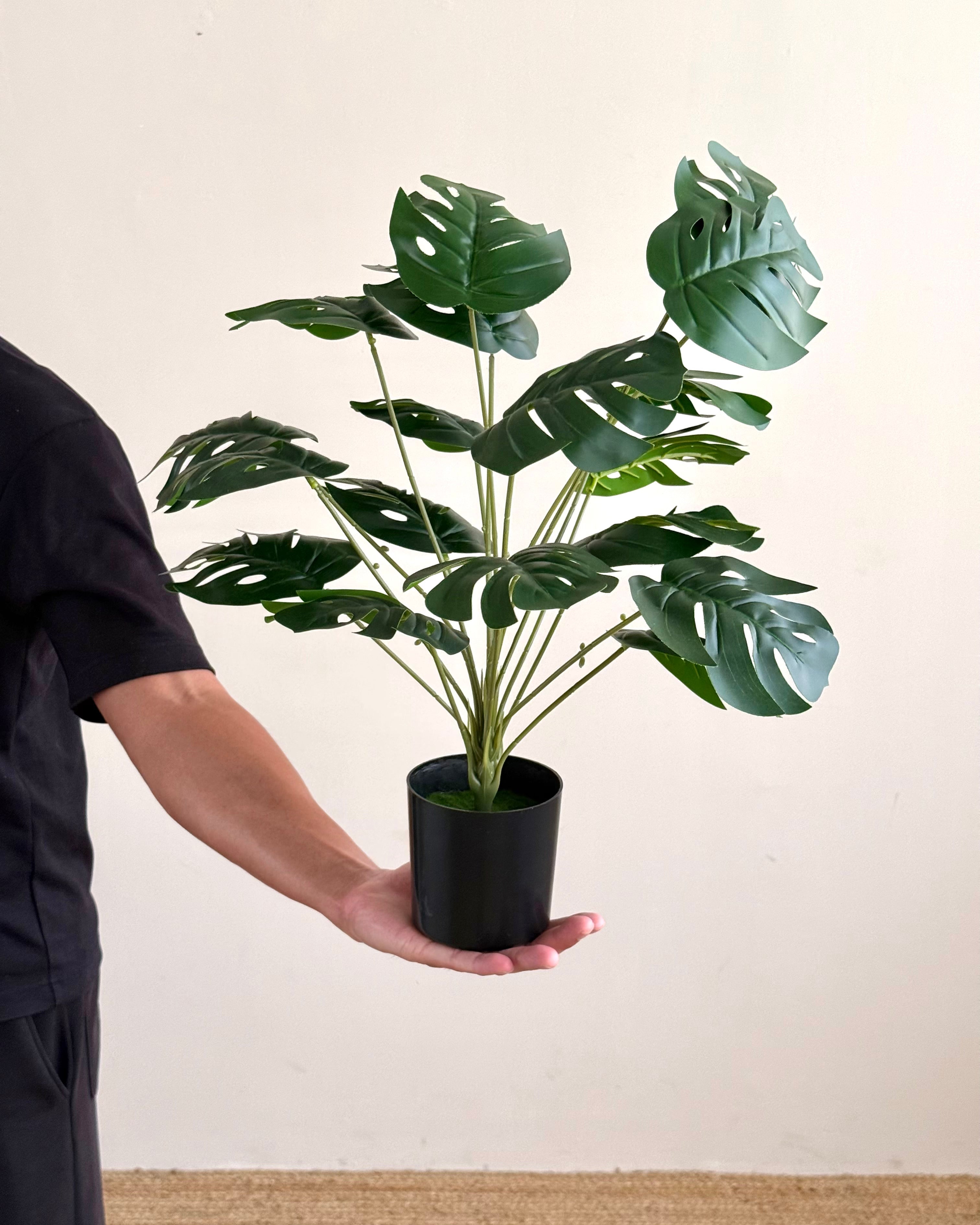A person in a black shirt holds a potted artificial Monstera plant with green leaves in a black pot against a plain beige wall and light wood floor.