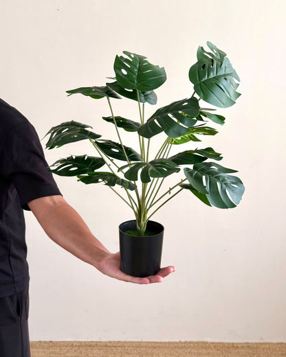 A person in a black shirt holds a potted artificial Monstera plant with green leaves in a black pot against a plain beige wall and light wood floor.
