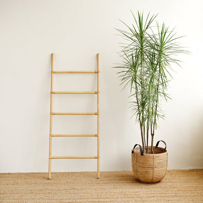 Natural Ladder Natural Rattan Ladder – Island Living