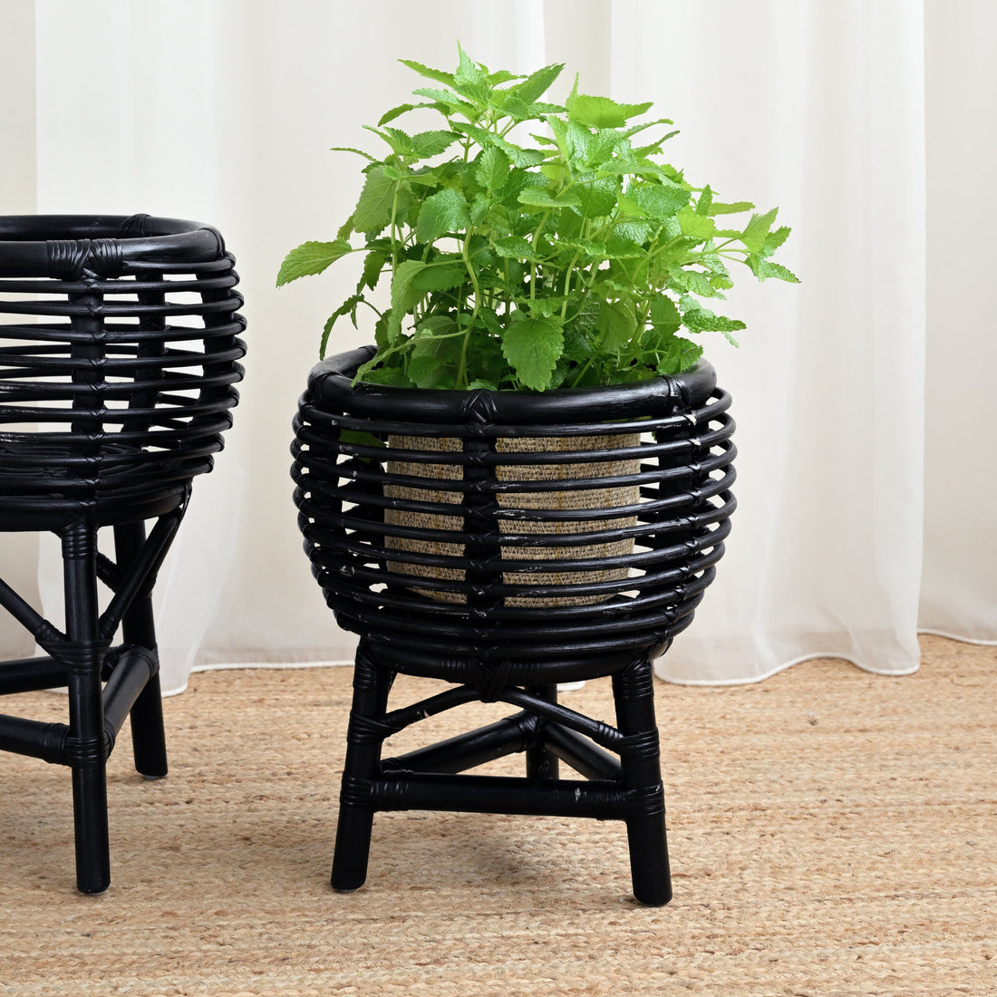 Nongphu Rattan Planter - Black 1