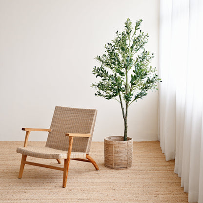 Olive Plant Tree - Faux