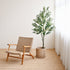Olive Plant Tree - Faux