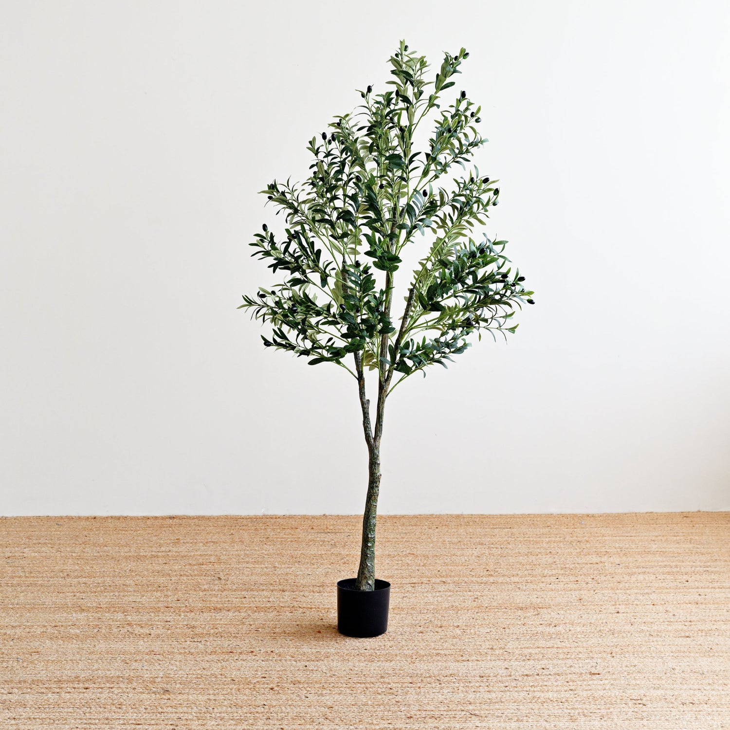 Olive Plant Tree - Faux 1
