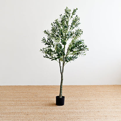 Olive Plant Tree - Faux 1