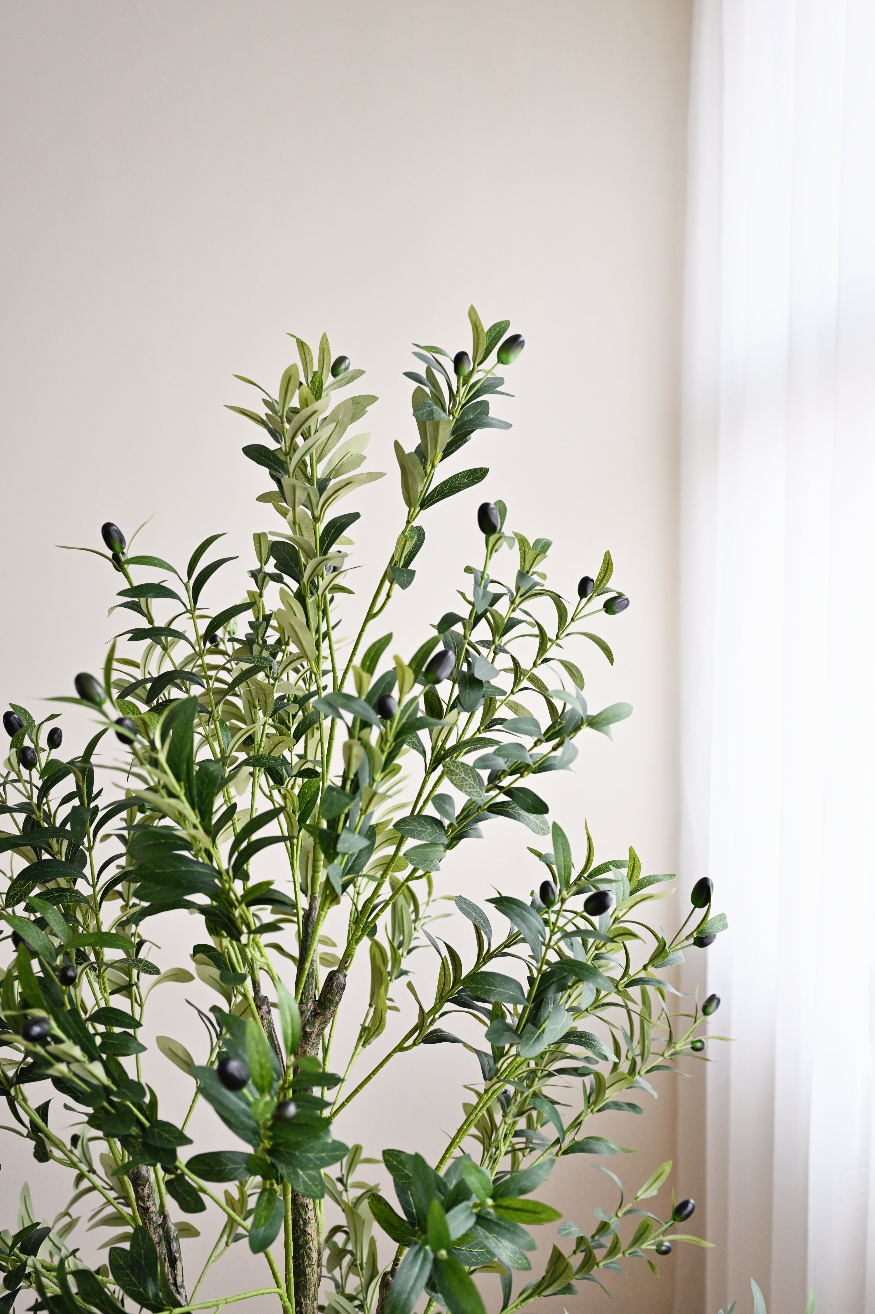 Olive Plant Tree - Faux 2