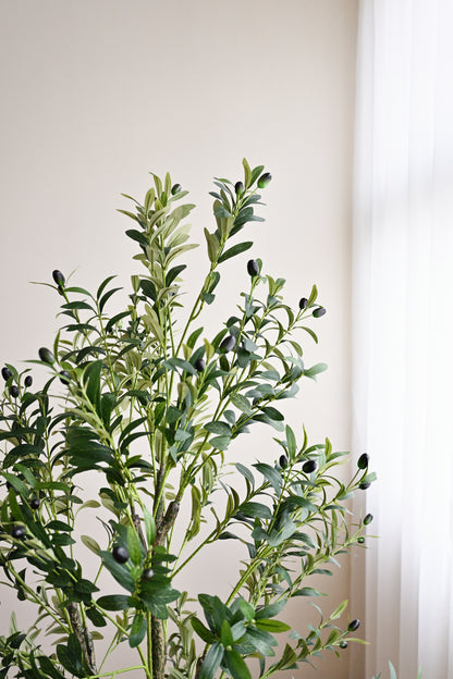 Olive Plant Tree - Faux 2