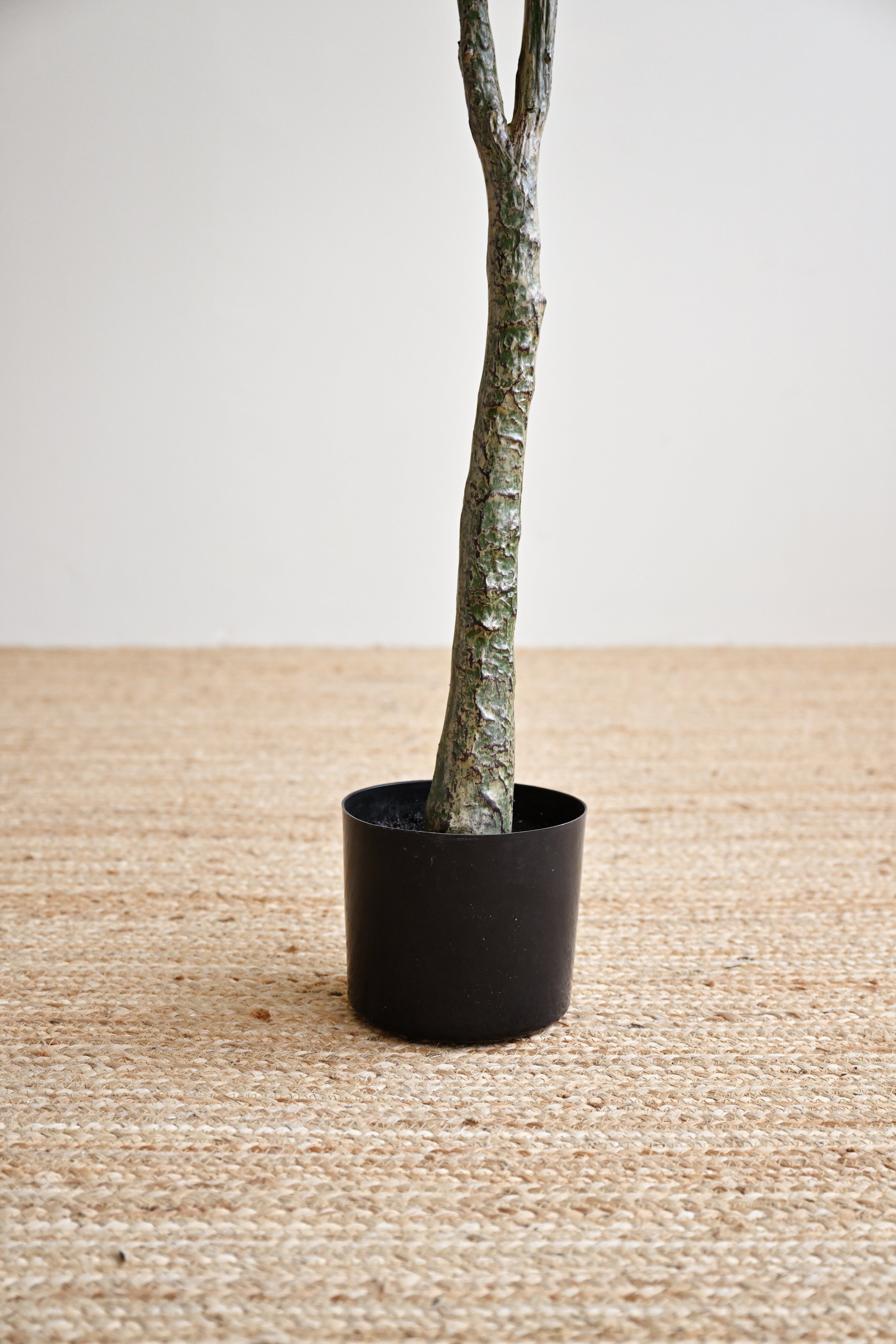 Olive Plant Tree - Faux 4